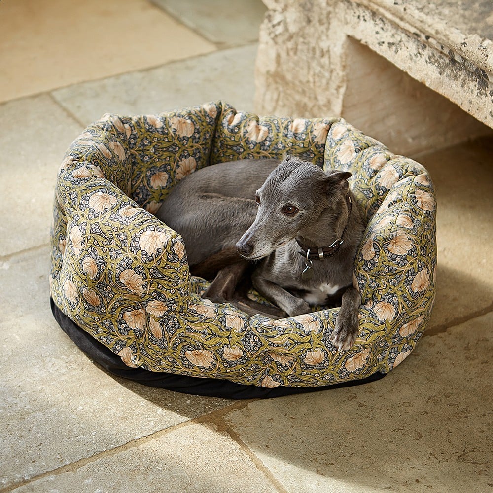 Cheap puppy bed best sale