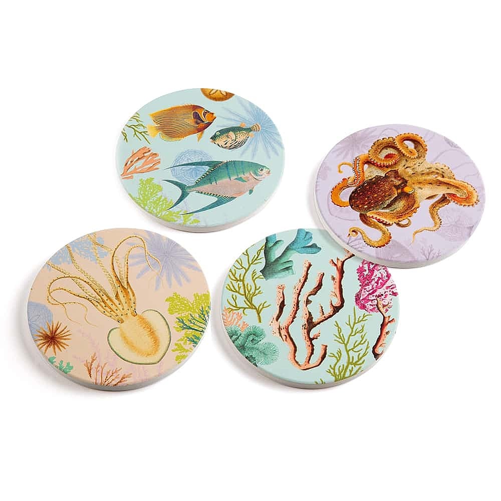 Sea Life Ceramic Coaster Set | Museum Selection